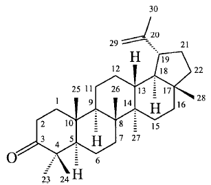 20(29)-lupen-3-one