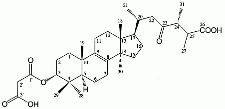 (A) 3α-carboxyacetoxyquercinic acid