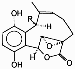 Clavilactone E