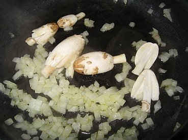 Fried Coprinus comatus