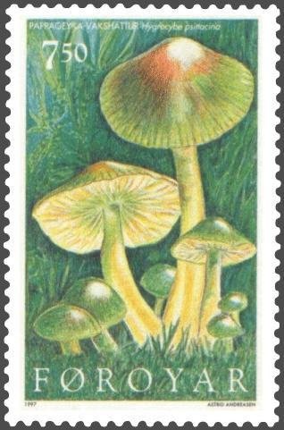 Hygrocybe psittacina Stamp