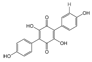 The p-terphenyl mushroom pigment atromentin