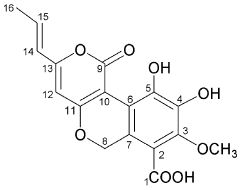 Cyathuscavin A.