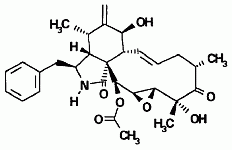 19,20-epoxycytochalasin D aka 21-acetylengleromycin from the medicinal mushroom Xylaria hypoxylon