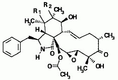 Cytochalasins N and C from the medicinal mushroom Xylaria hypoxylon 