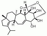 erinacine E