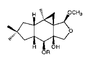 lactapiperanols A+B