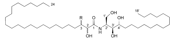 paxillamide