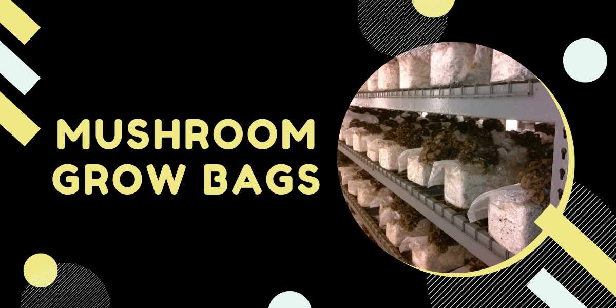 Myco Bags Mushroom Cultivation Grow kit bag 50 QTY Small Size 4 x 3 x 18 Spawn 