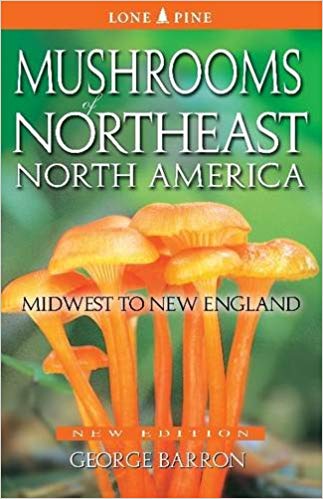 Mushrooms of Northeast North America: Midwest to New England