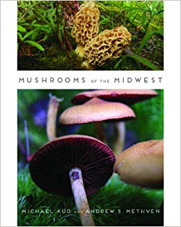 Mushrooms of the Midwest