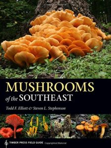 A Comprehensive List of Common Wild Mushrooms in Georgia