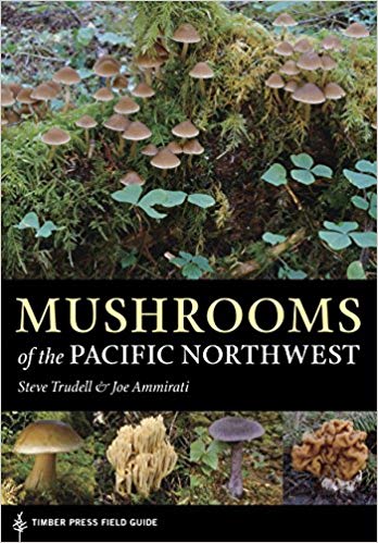 Mushrooms of the Upper Midwest: A Simple Guide to Common Mushrooms