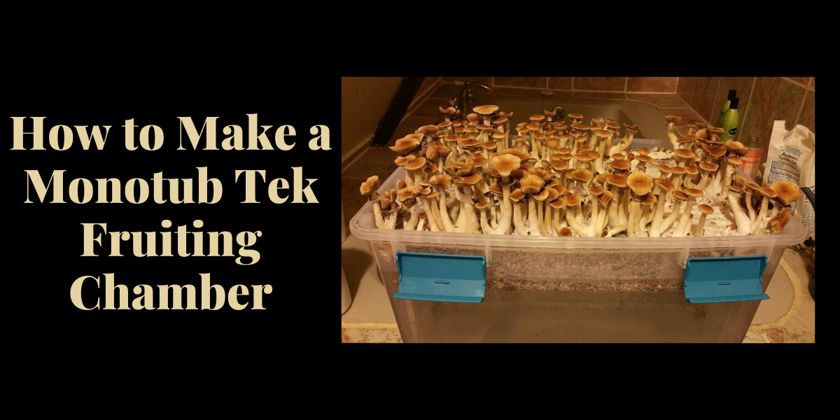 How To Make The Best Monotub Tek Fruiting Chamber