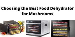 Choosing the Best Food Dehydrator for Mushrooms: The Top 5 Reviewed