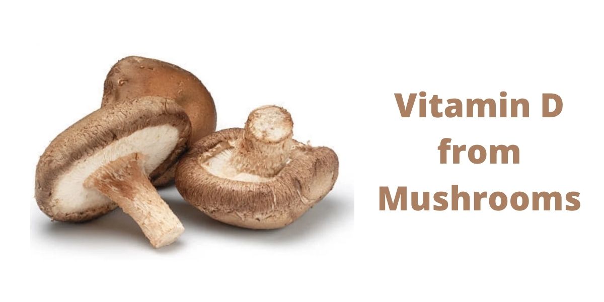 Vitamin D from Mushrooms