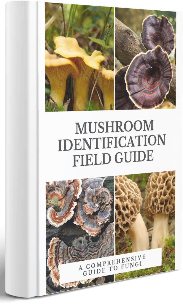 Free Mushroom Field Guide