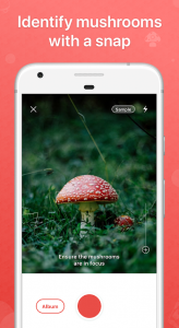 Picture Mushroom App