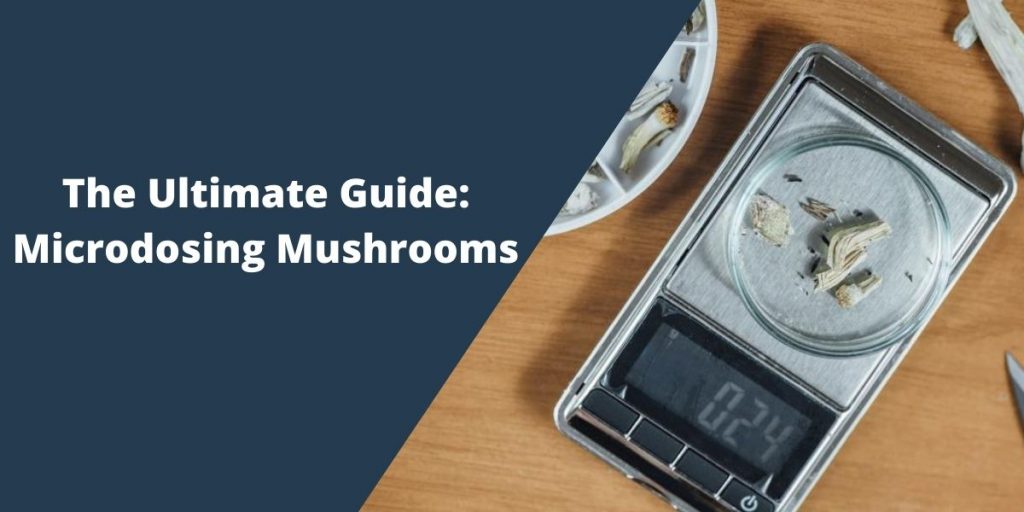 Ultimate Guide To Microdosing Mushrooms For PTSD Anxiety Depression Ultimate Guide To Microdosing Mushrooms For PTSD Anxiety Depression