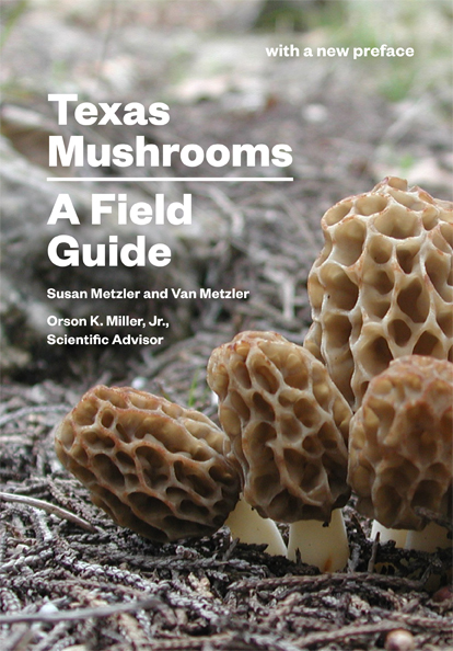 Texas Mushrooms a Field Guide
