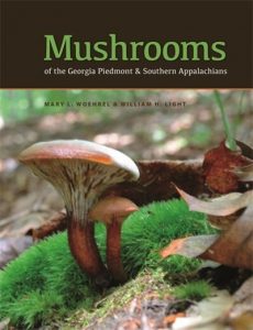 A Comprehensive List of Common Wild Mushrooms in Georgia