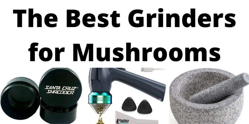 Best Grinder for Mushrooms