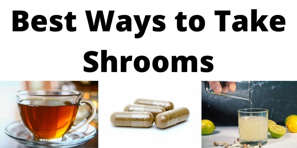 Best Ways to Take Shrooms