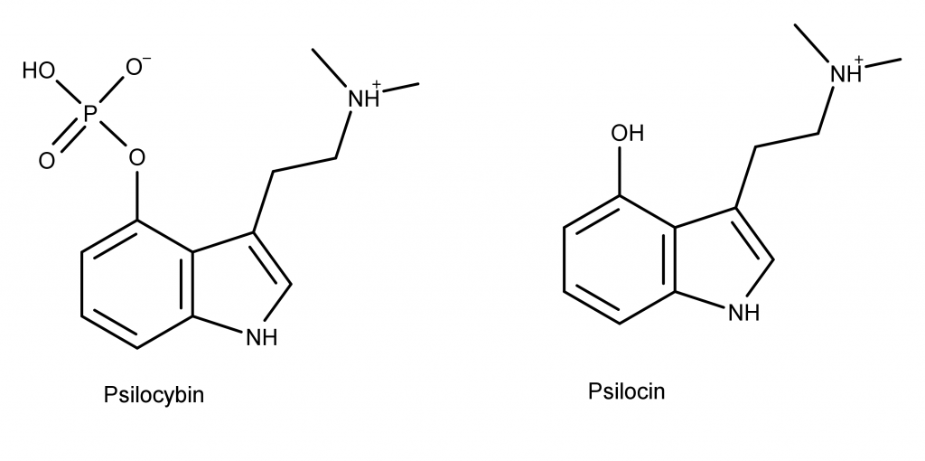 Psilocybin chemical structures