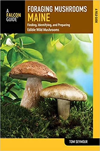 Foraging Mushrooms Maine