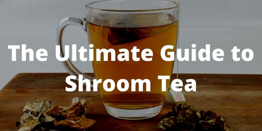 Shroom Tea