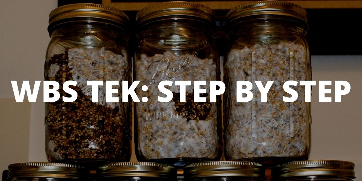 WBS TEK