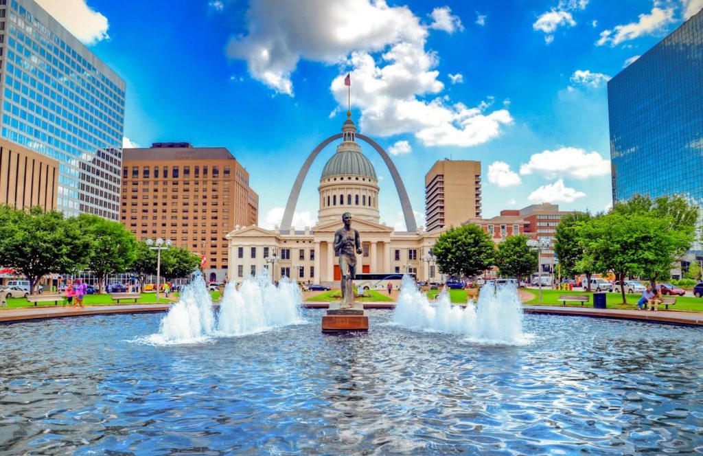 Mushroom Identification