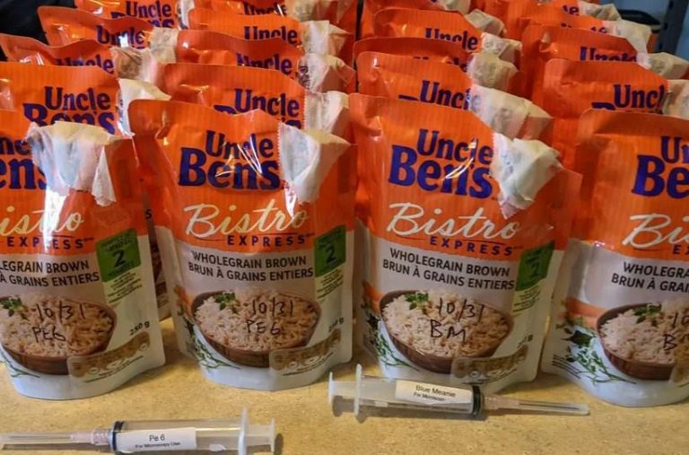 Uncle Ben’s Mushroom Tek Guide Fruiting, Colonization Time & Yield