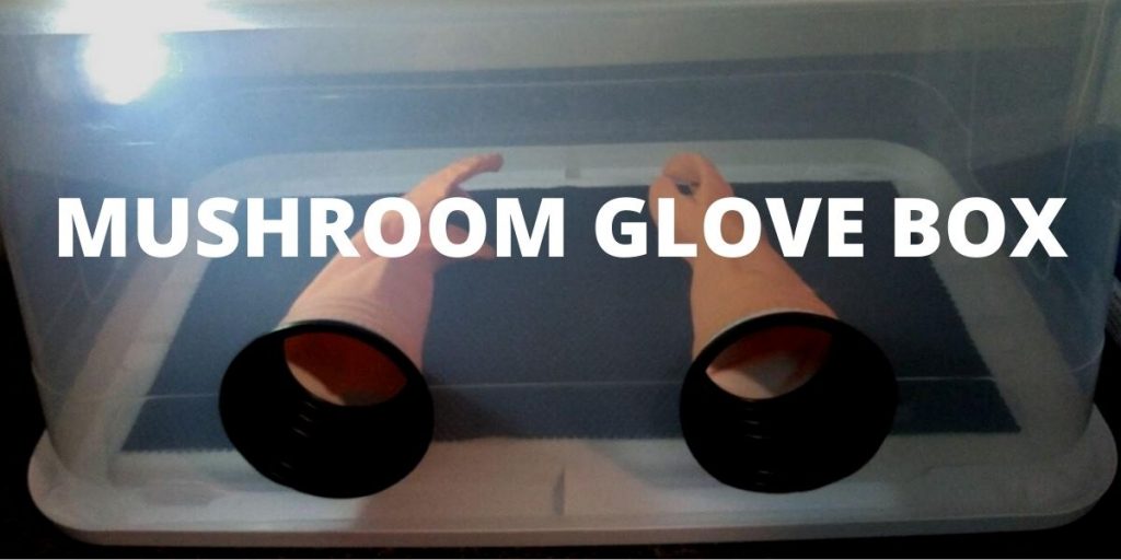 mushroom glove box