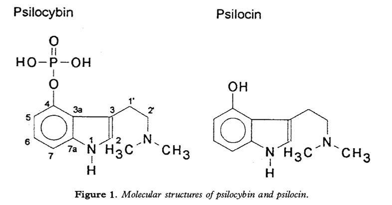 Psilocin Chemical Structure