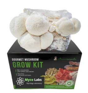 Midwest Grow Kits Lions Mane