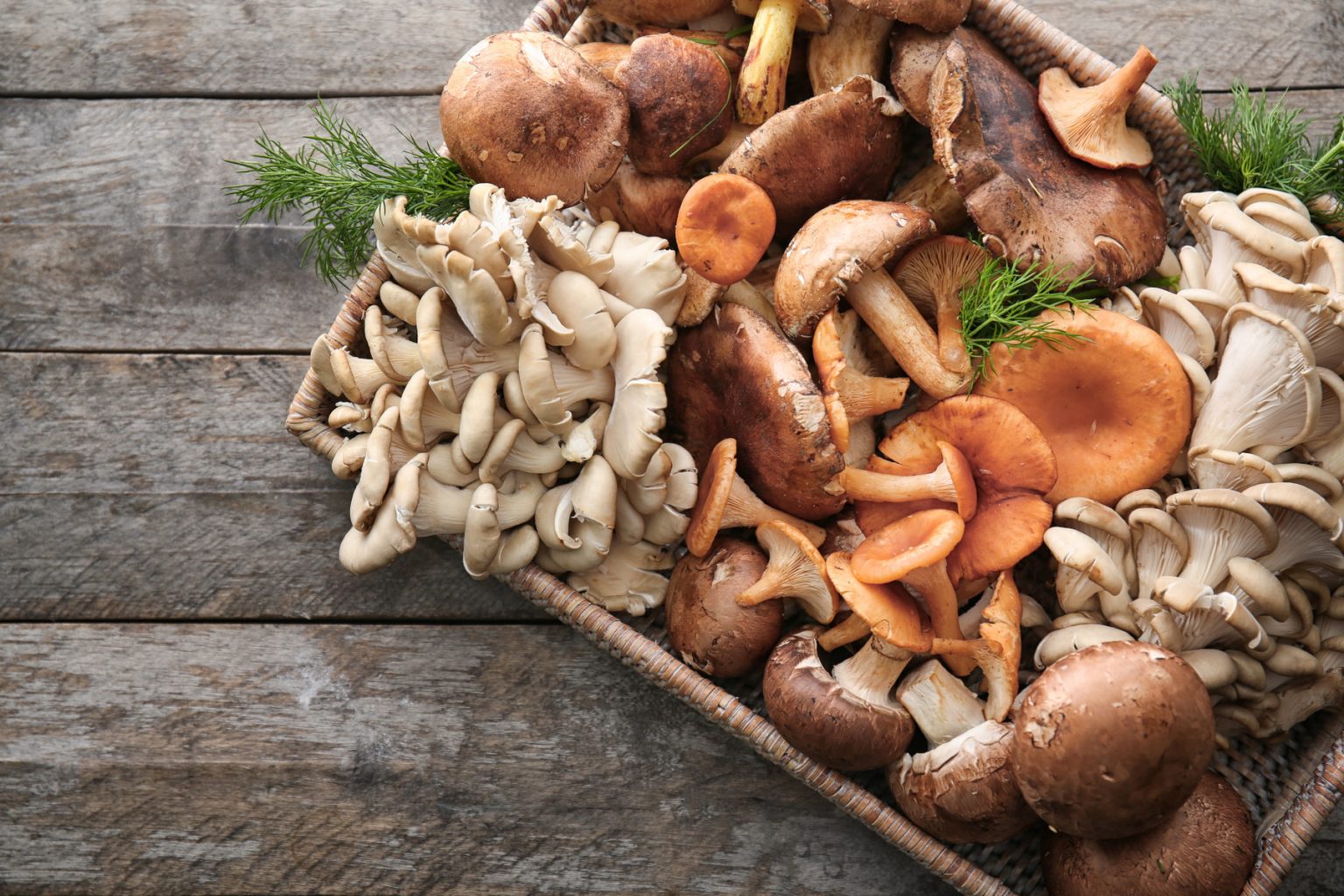 Are Mushrooms FODMAP? The IBS Guide to Shrooms
