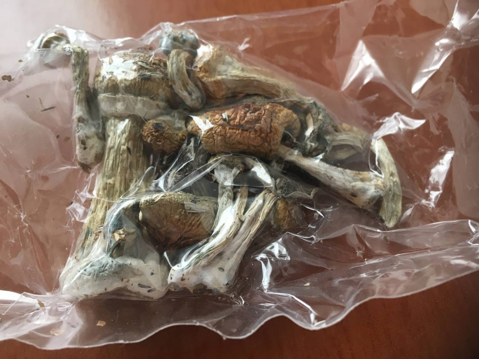 mushroom-shelf-life-do-shrooms-go-bad-or-expire