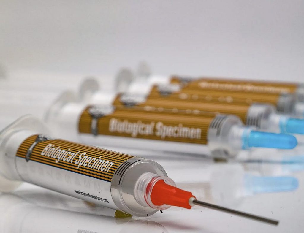 Liquid Culture vs Spore Syringes What’s the difference?