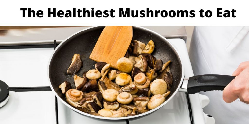 Healthiest Mushrooms