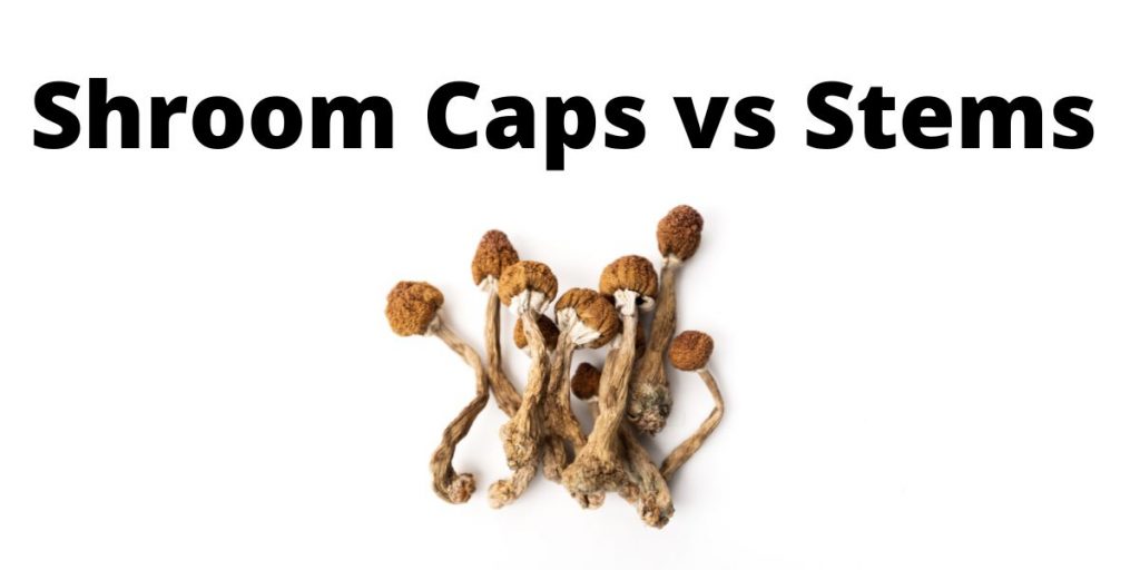 Shroom Caps vs Stems